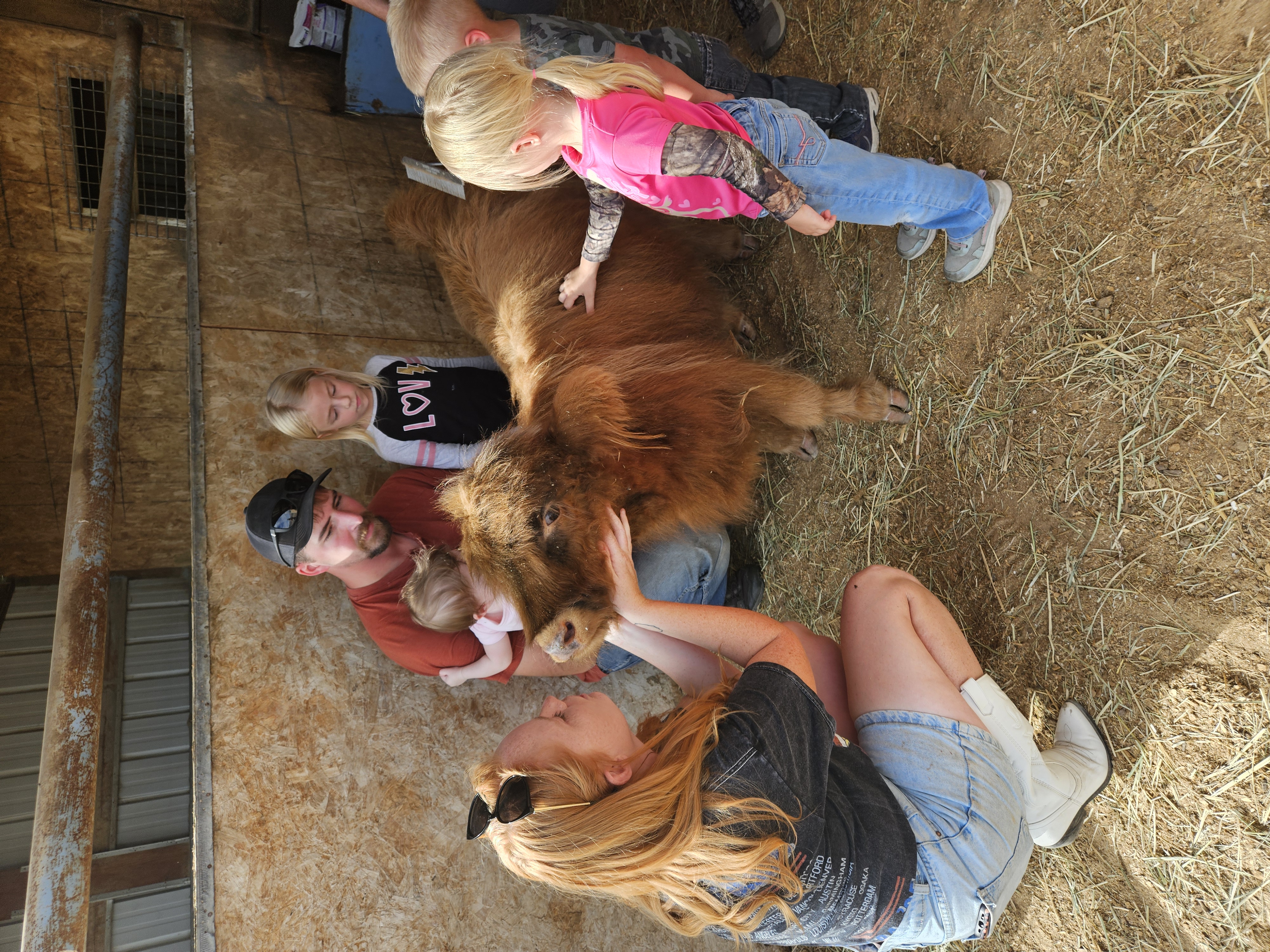 Family group petting Highland cattle