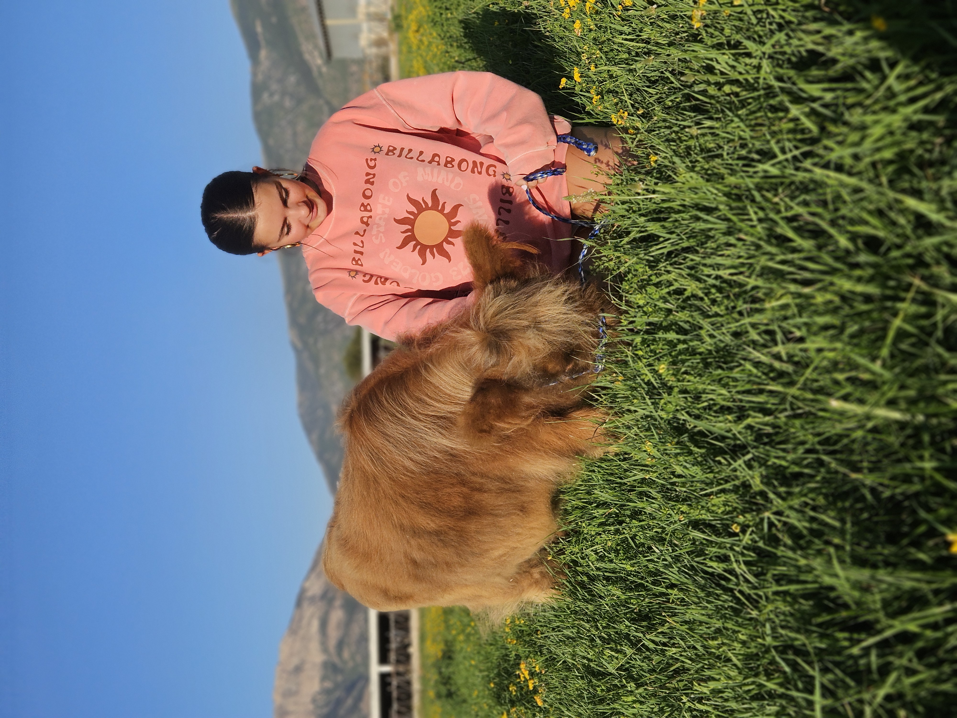 Visitor enjoying time with Highland cattle in the field